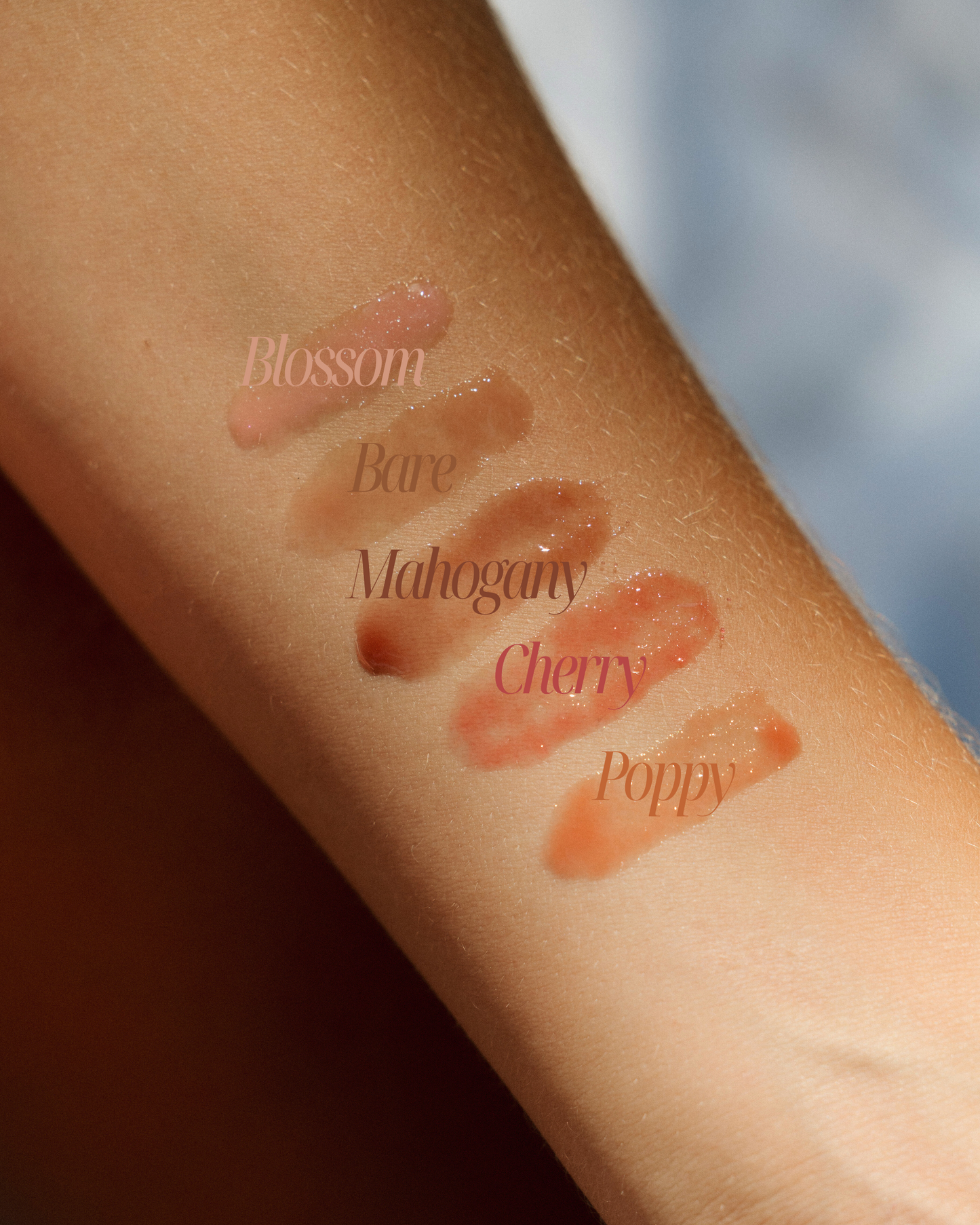 TINTED LIP OIL SET